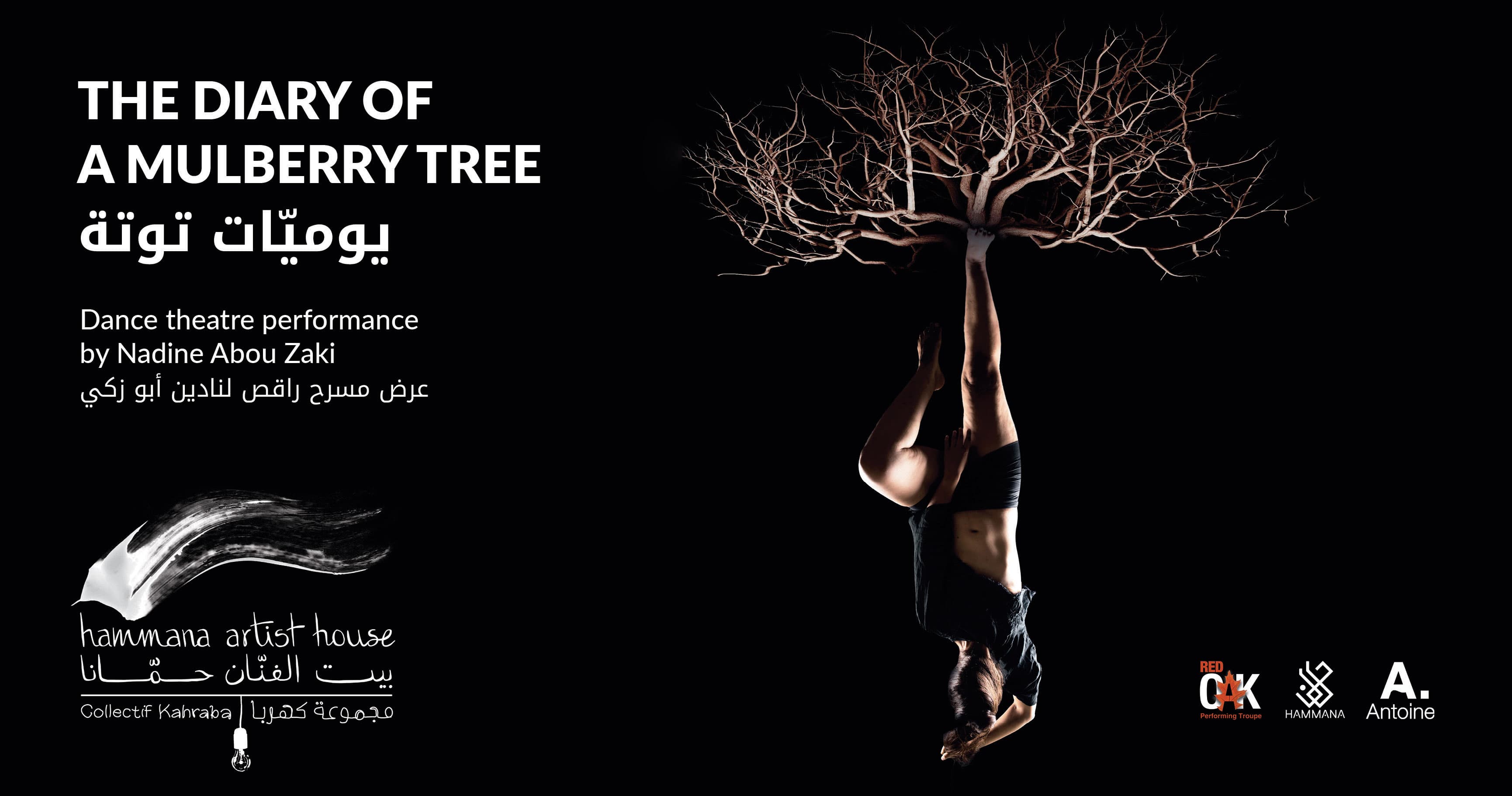 The Diary of a Mulberry Tree at Hammana Artist House