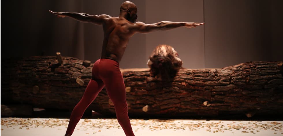 The Diary of a Mulberry Tree — Al Madina Theatre, Beirut — 2017 — 13