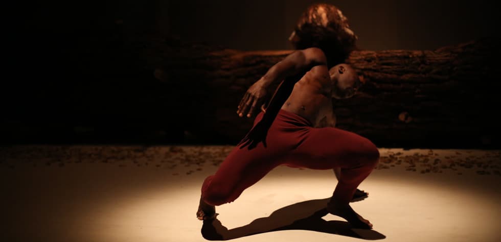 The Diary of a Mulberry Tree — Al Madina Theatre, Beirut — 2017 — 15