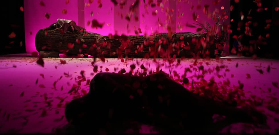 The Diary of a Mulberry Tree — Al Madina Theatre, Beirut — 2017 — 16