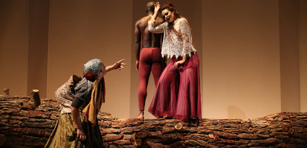 The Diary of a Mulberry Tree — Al Madina Theatre, Beirut — 2017 — 3