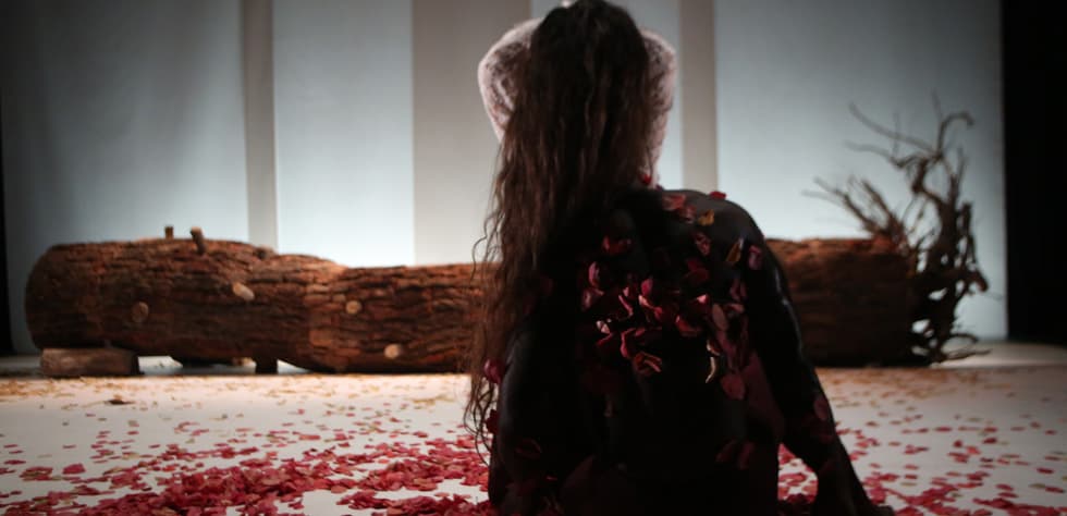 The Diary of a Mulberry Tree — Al Madina Theatre, Beirut — 2017 — 8