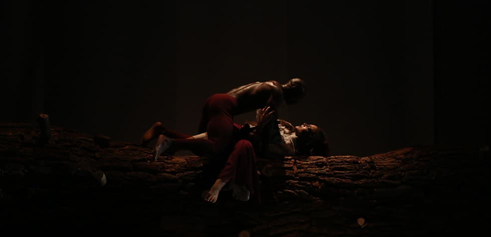 The Diary of a Mulberry Tree — Al Madina Theatre, Beirut — 2017 — 10