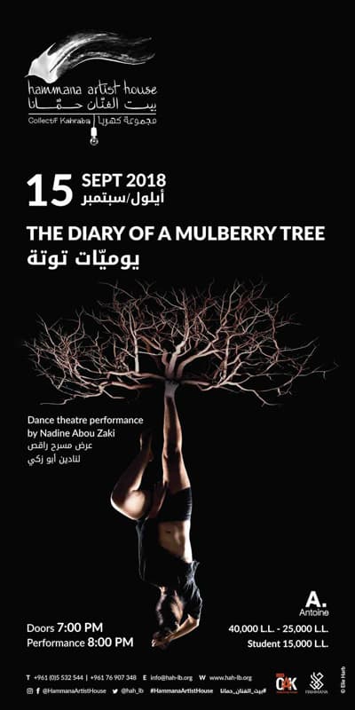 The Diary of a Mulberry Tree — Hammana Artist House — 2018 — 15