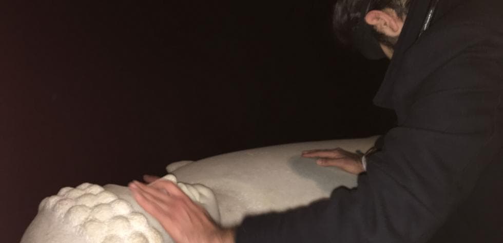 Elephant in the Dark — National Museum of Beirut — 2020 — 5