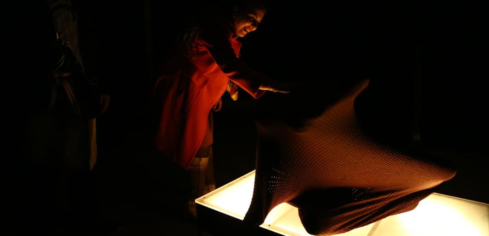 Please Touch — Interactive Performance & Living Sculpture — 3