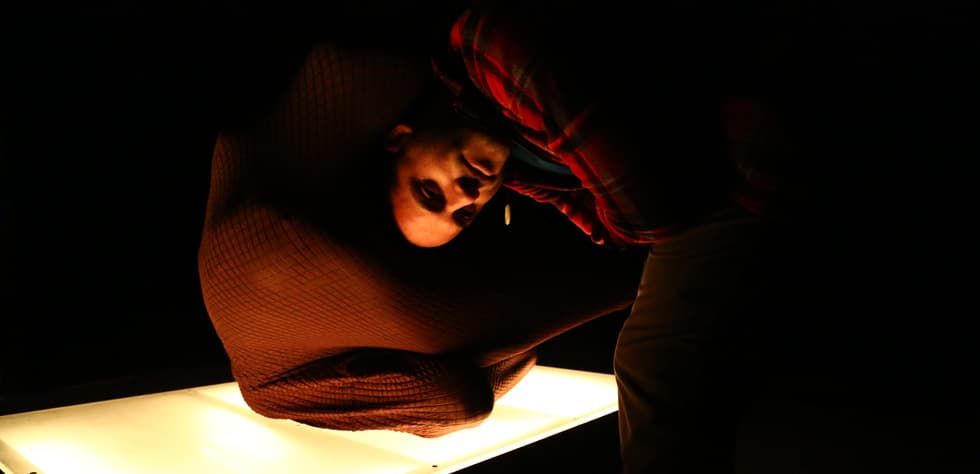 Please Touch — Interactive Performance & Living Sculpture — 1